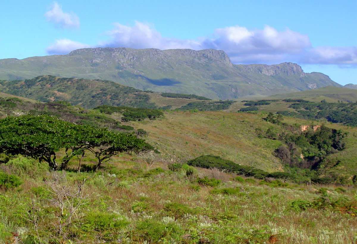 Mt Nyangani. 