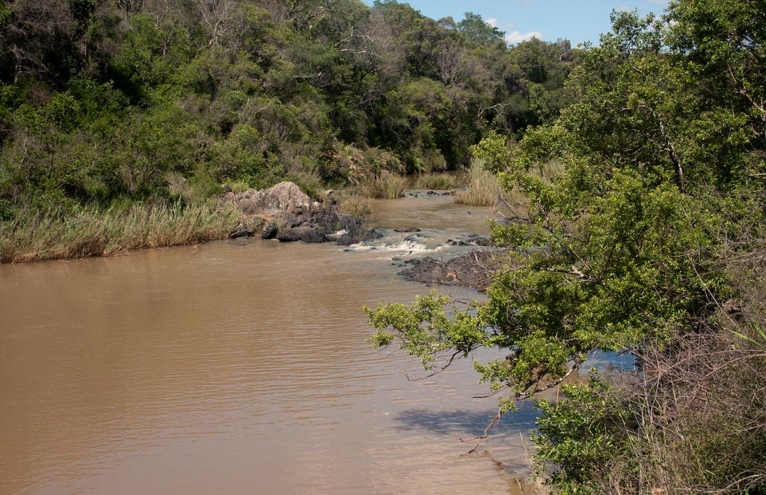 Pokoteke river